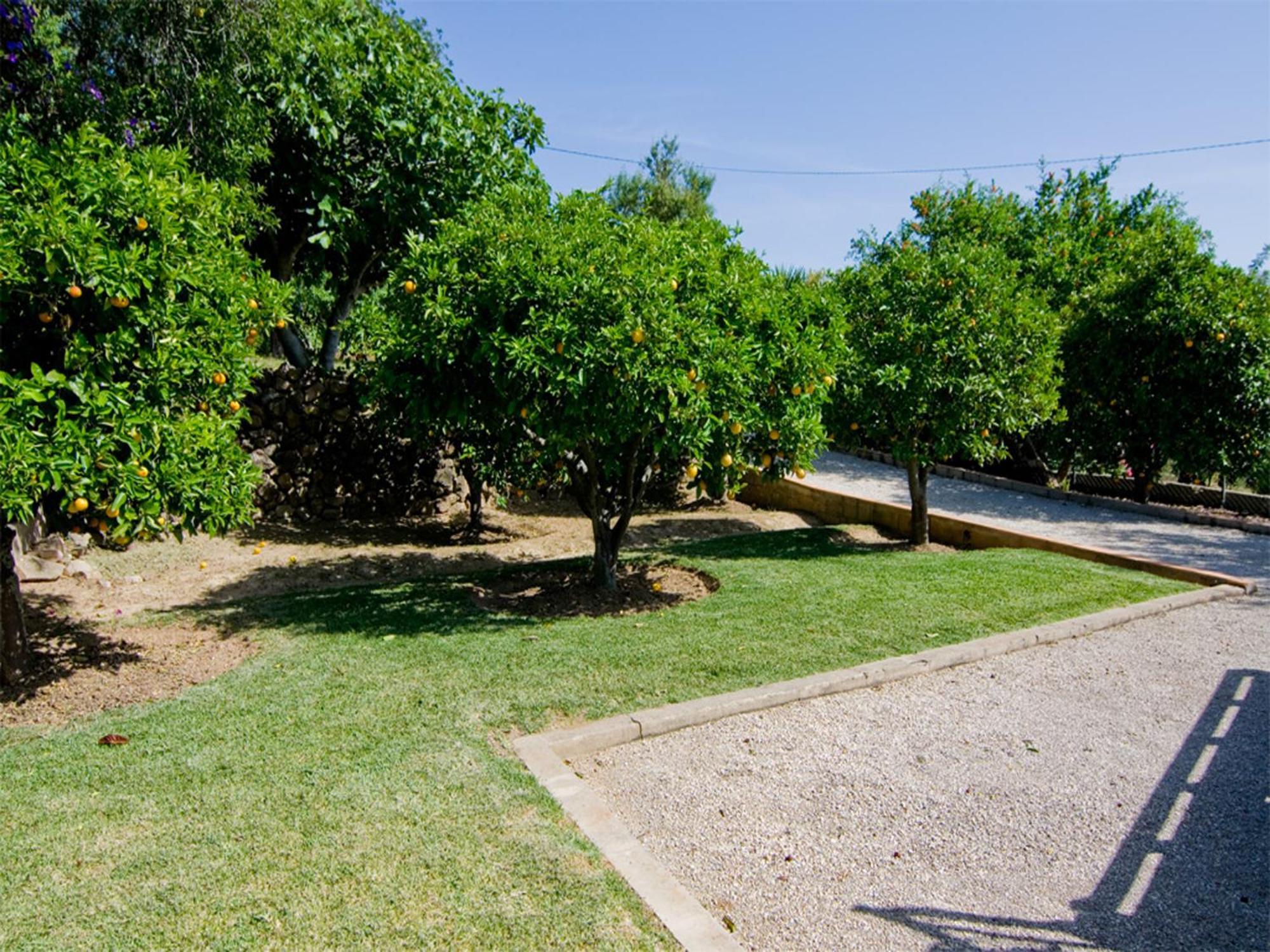 Villa Oliandra Vilamoura Exteriör bild